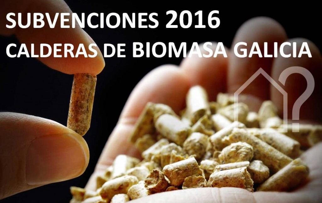 asesorArq_BIOMASA