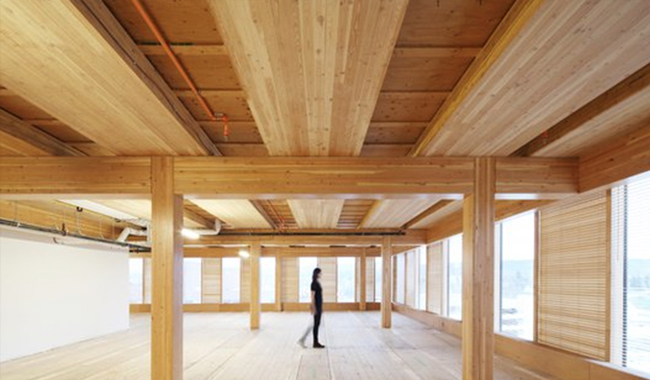 obra-4